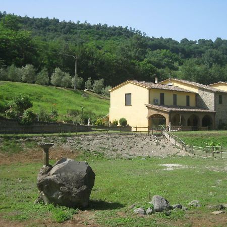 Alloggio Turistico Mooneyes Διαμέρισμα Castiglione In Teverina Εξωτερικό φωτογραφία