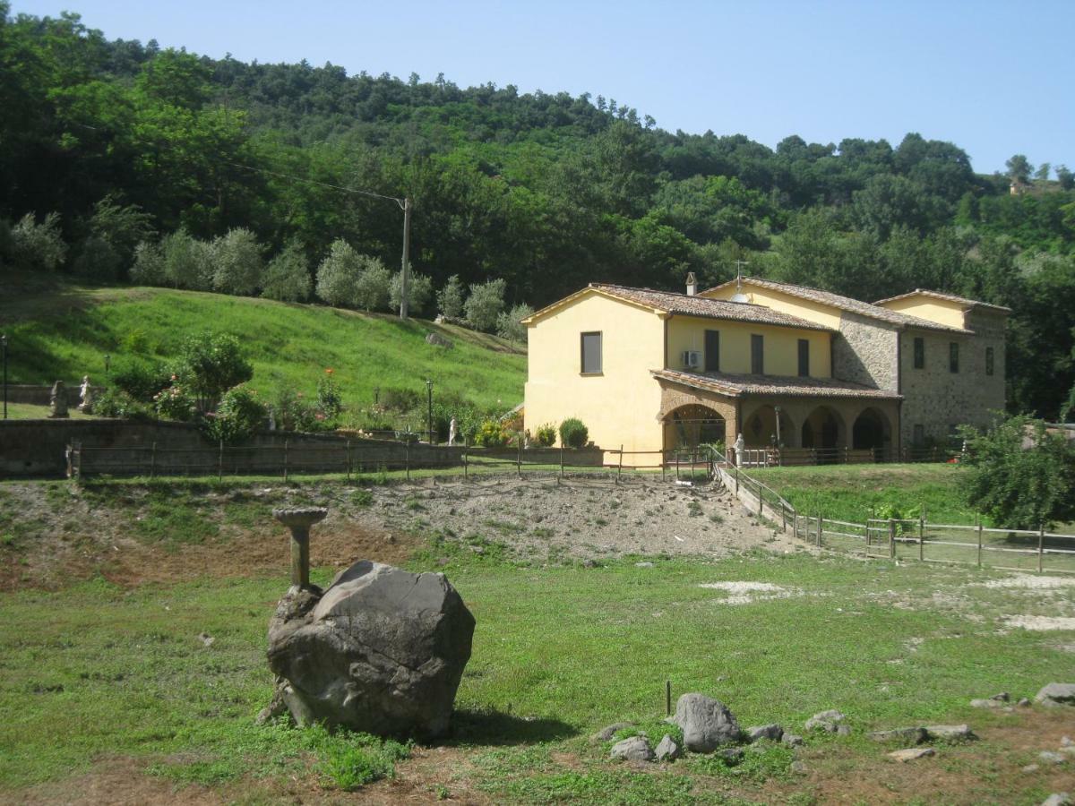 Alloggio Turistico Mooneyes Διαμέρισμα Castiglione In Teverina Εξωτερικό φωτογραφία
