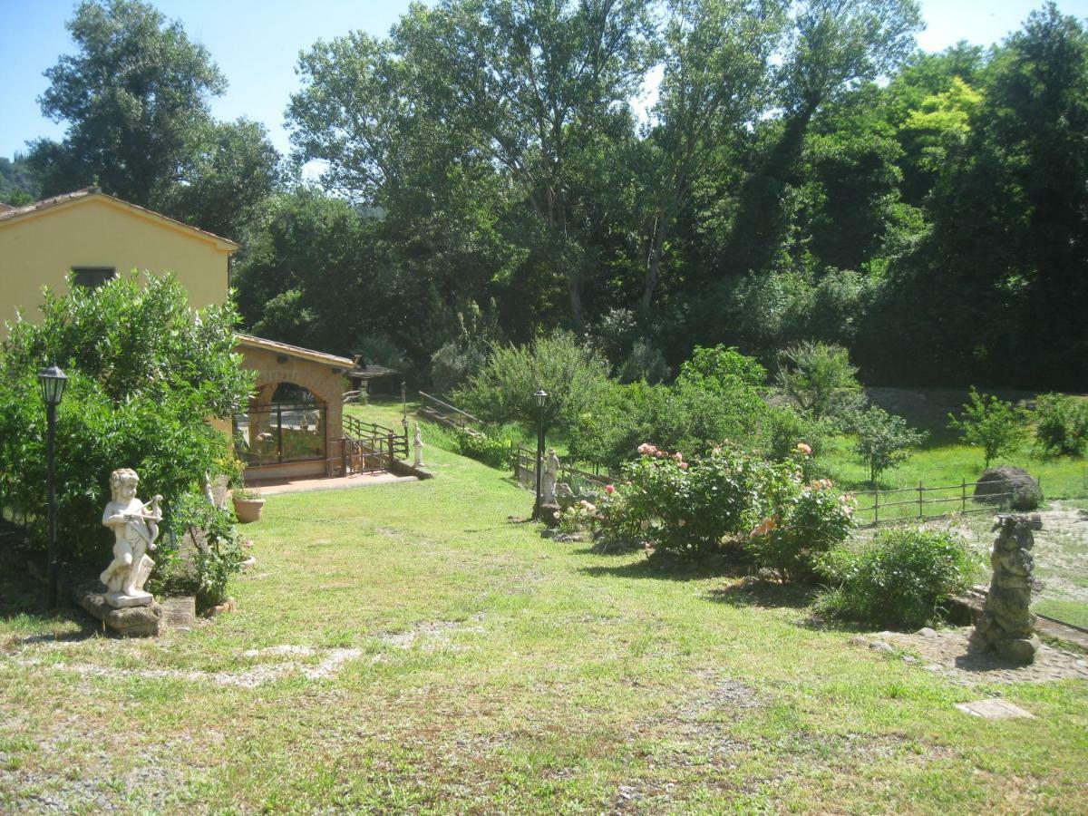 Alloggio Turistico Mooneyes Διαμέρισμα Castiglione In Teverina Εξωτερικό φωτογραφία