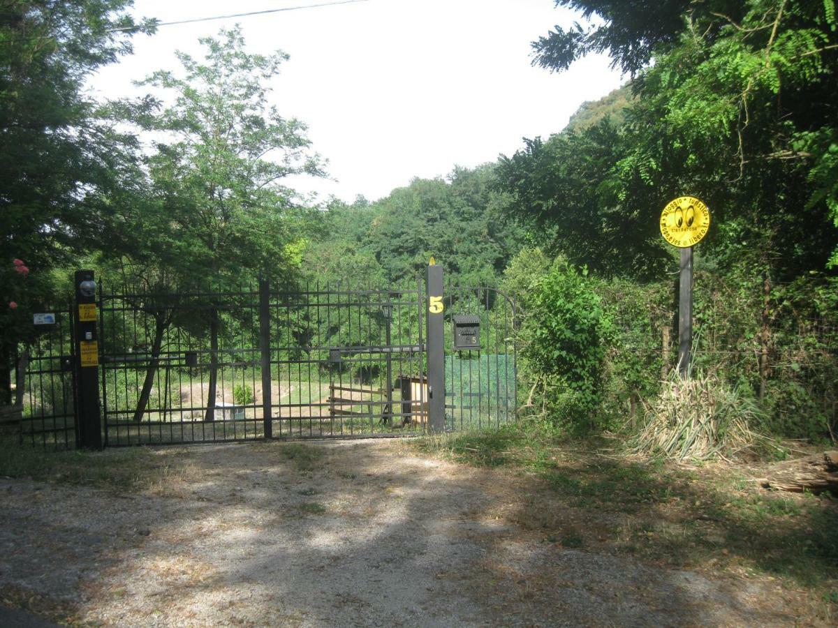 Alloggio Turistico Mooneyes Διαμέρισμα Castiglione In Teverina Εξωτερικό φωτογραφία